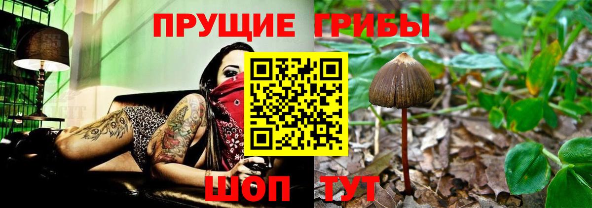 Вязьма  Псилоцибиновые грибы мухоморы  Вход с VPN 